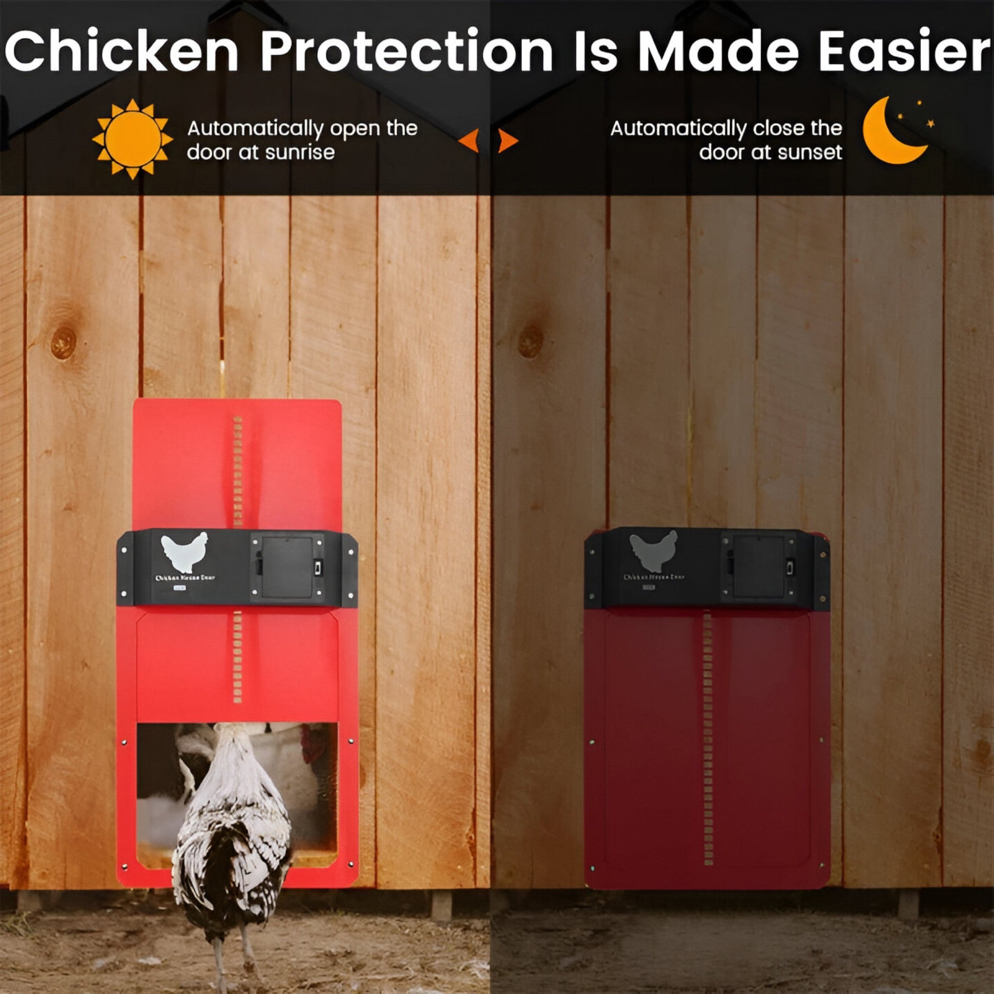 Automatic Chicken Coop Door | Safe and Time-Saving Solution for Poultry