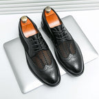 Evano Leather Oxford 1