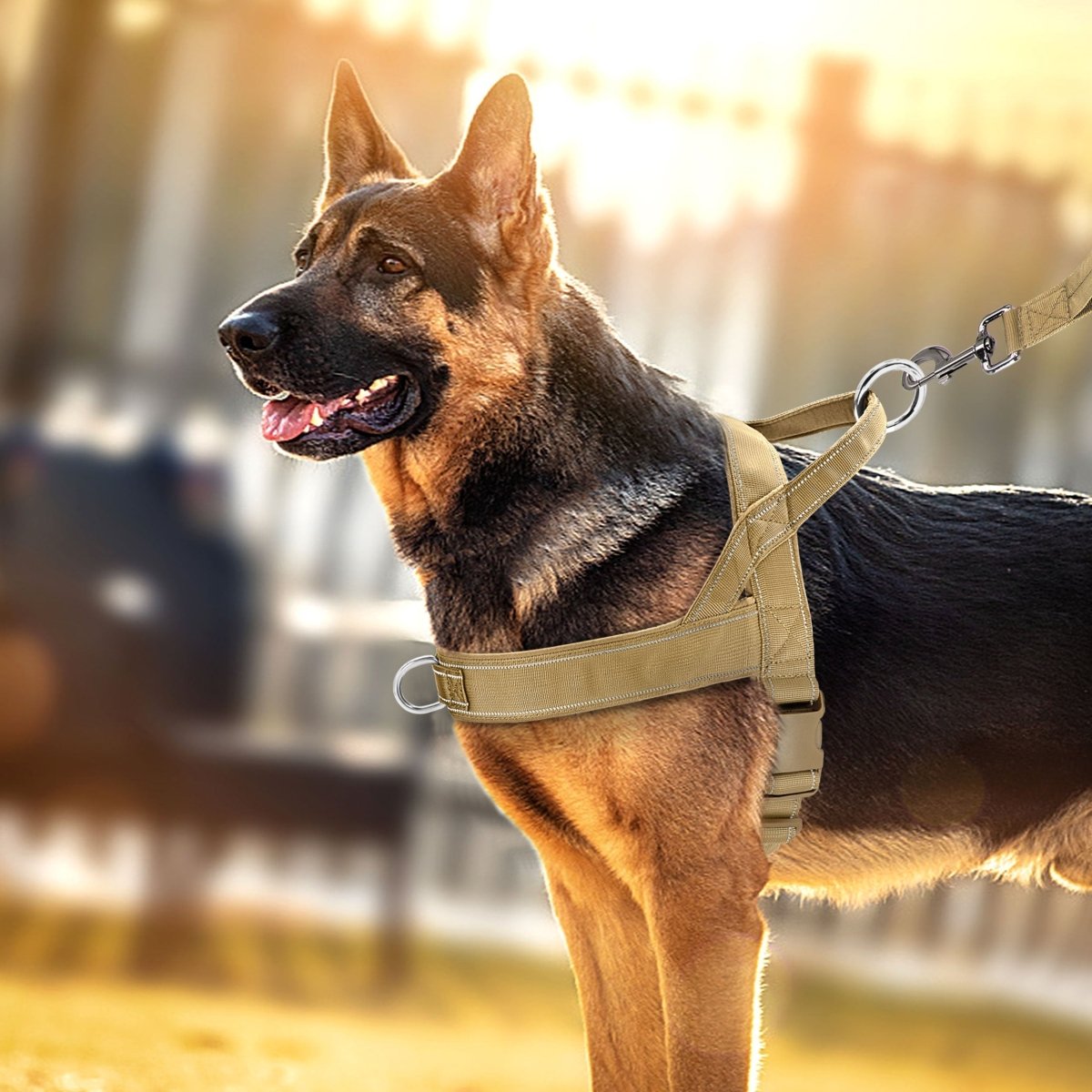 MEELANO No-Pull hundesele med refleksdetaljer