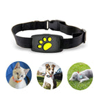 Smart GPS Collar for Cats and Small Dogs – PawTrack Schwarz