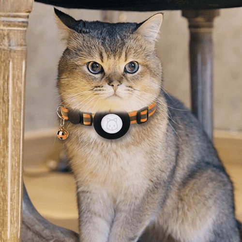 Breakaway Cat Collar with Bell - Safety Kitten Collar