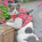 Cat Harness and Leash Set – Escape Proof Adjustable Mesh Vest Harness with Quick Release & 4 ft Leash, XS-S, Blue, Green or Red