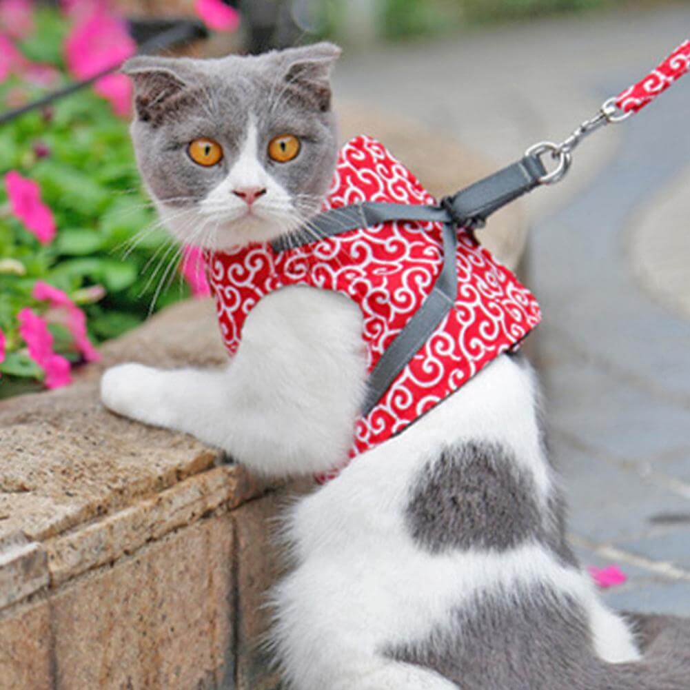 Cat Harness and Leash Set – Escape Proof Adjustable Mesh Vest Harness with Quick Release & 4 ft Leash, XS-S, Blue, Green or Red