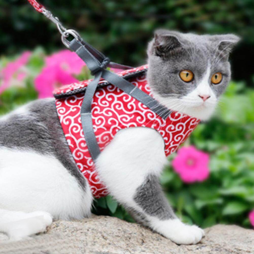 Cat Harness and Leash Set – Escape Proof Adjustable Mesh Vest Harness with Quick Release & 4 ft Leash, XS-S, Blue, Green or Red Red