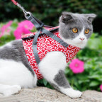 Cat Harness and Leash Set – Escape Proof Adjustable Mesh Vest Harness with Quick Release & 4 ft Leash, XS-S, Blue, Green or Red Red