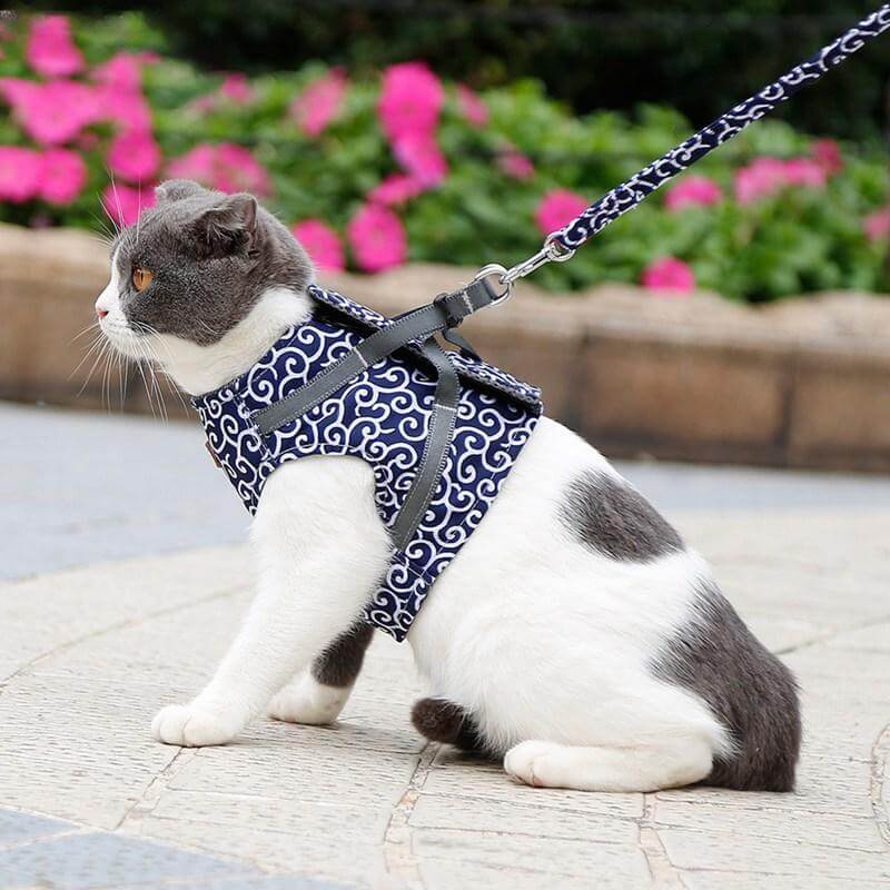 Cat Harness and Leash Set – Escape Proof Adjustable Mesh Vest Harness with Quick Release & 4 ft Leash, XS-S, Blue, Green or Red Blue