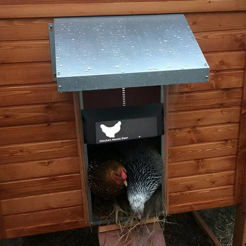 Automatic Chicken Coop Door | Safe and Time-Saving Solution for Poultry