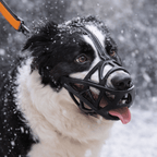 DOGORA – Gentle Dog Muzzle for Safe Everyday Situations