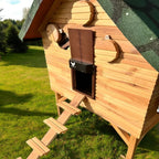 Automatic Chicken Coop Door | Safe and Time-Saving Solution for Poultry