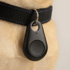 SafeTrack | GPS Tracker with Live Tracking for Kids, Pets & Valuables