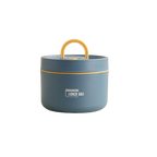 ThermoBox Multi-Layered Insulated Lunchbox with FREE Carry Bag-Small-Blue-State of Style